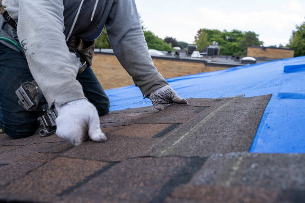 Best Roof Coating Services  in Clearlake Riviera, CA